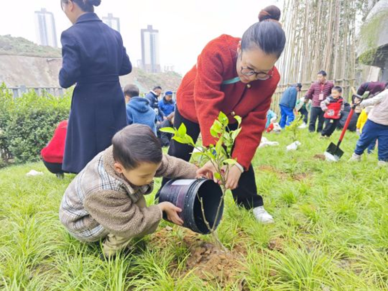 重庆南岸：志愿植树添新绿 文明实践树新风
