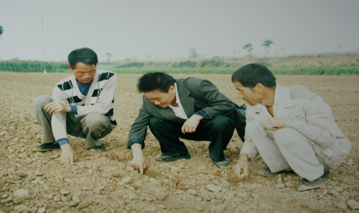 王一硕做志愿者期间，在麟游县土桥村，种植百亩黄芩示范基地.png
