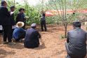 沂水县果茶中心组织专业技术人员送科技下乡活动。